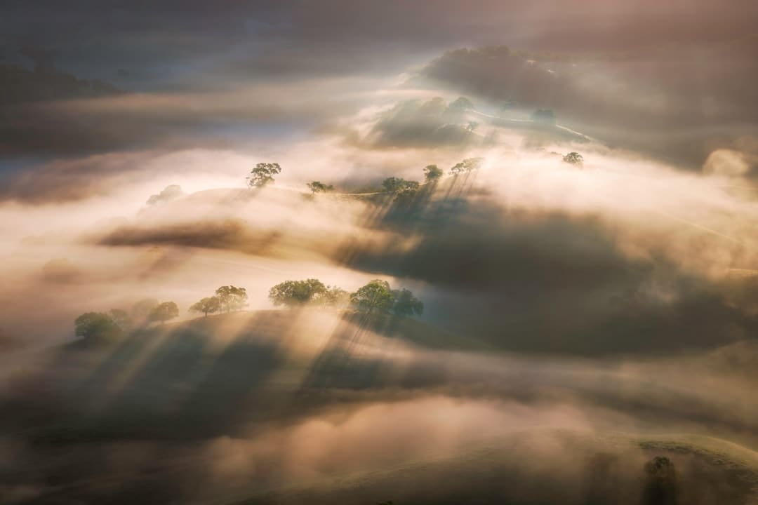 韩国“神话王国”南怡岛绝美夏景_